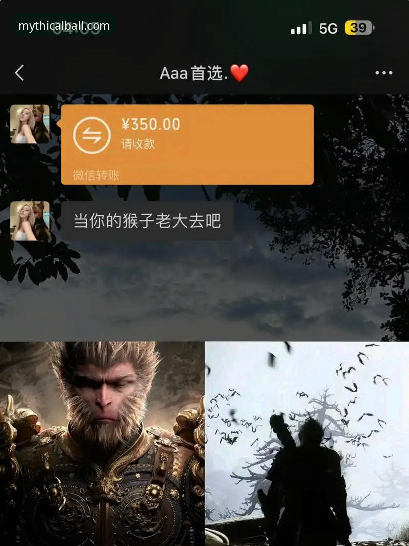 悟空体育登录哪个好？官方网站与第三方入口全面对比分析